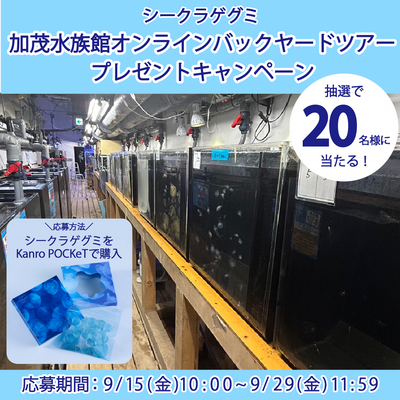 【シークラゲグミ】加茂水族館オンラインバックヤードツアープレゼントキャンペーンのお知らせと応募規約
