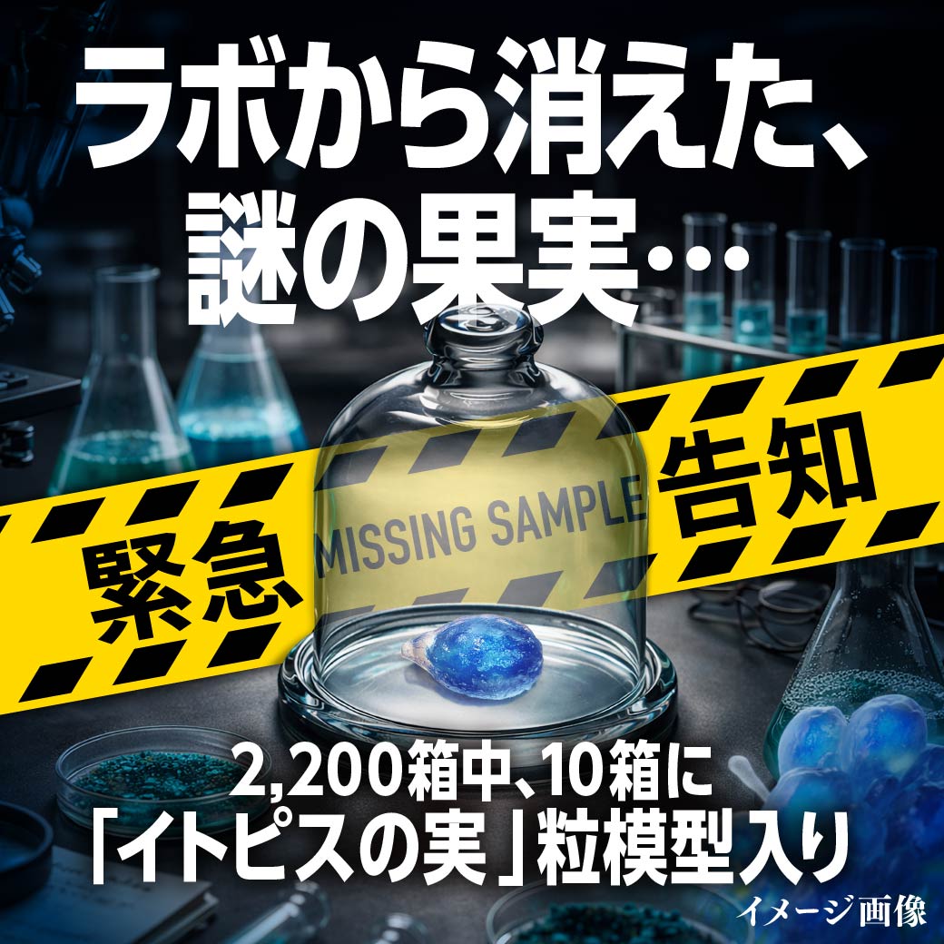 6/8(月)12:00から再販・数量限定】空想果実イトピスの実 空想果実ラボ