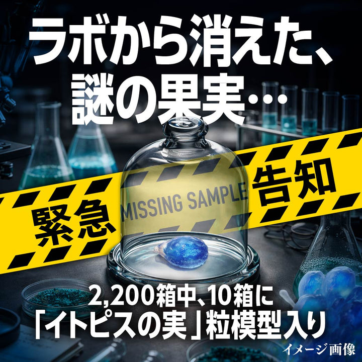 6/8(月)12:00から再販・数量限定】空想果実イトピスの実 空想果実ラボ