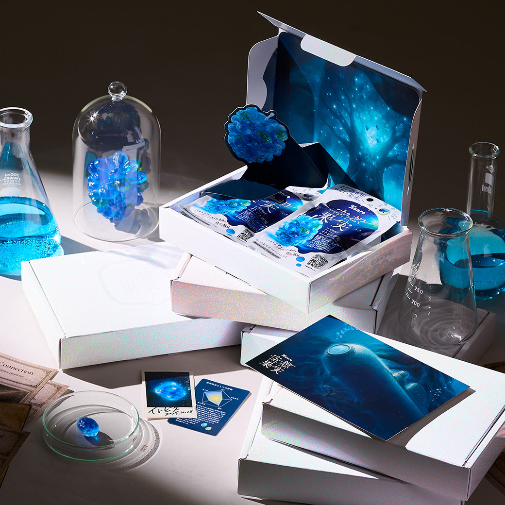 数量限定】空想果実イトピスの実 空想果実ラボスペシャルBOX – Kanro