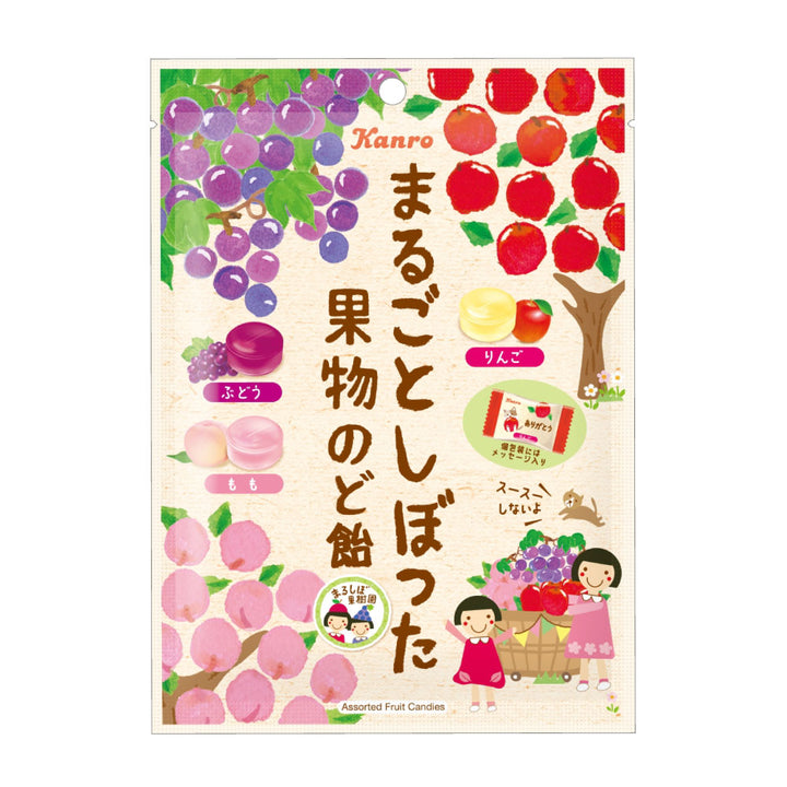 まるごとしぼった果物のど飴 – Kanro POCKeT